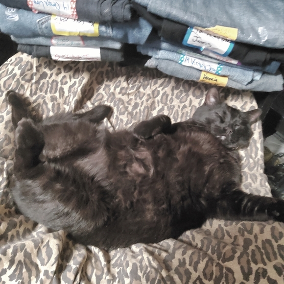 Rubbing my belly brings u luck - Picture 2 of 2